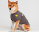 Camiseta para Cachorro Anti Social Dog Club - Cinza, Cinza | WestwingNow