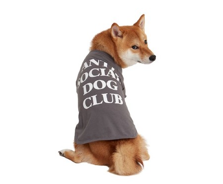 Camiseta para Cachorro Anti Social Dog Club - Cinza