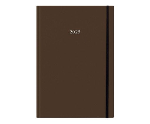 Agenda Diária 2025 Âmbar, multicolor | WestwingNow