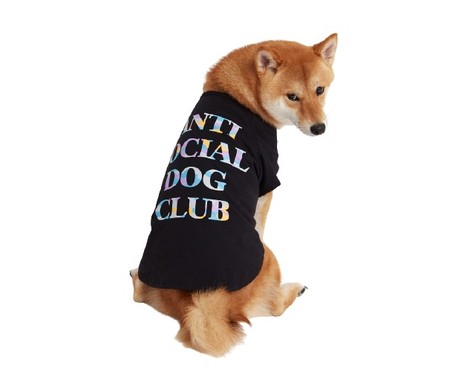 Camiseta para Cachorro Anti Social Dog Club - Preto