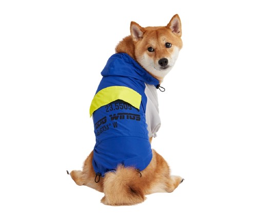 Jaqueta Corta Vento para Cachorro Space - Azul, Azul | WestwingNow