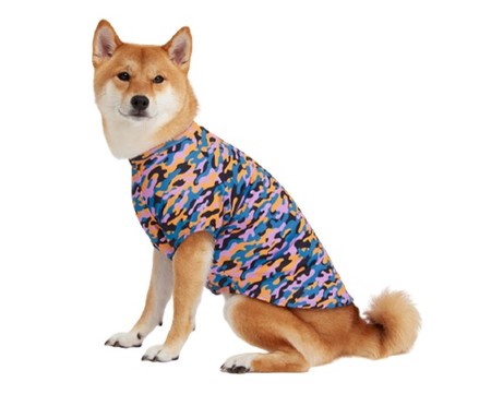 Camiseta para Cachorro Color Cheetah - Colorida