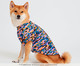 Camiseta para Cachorro Color Cheetah - Colorida, Roxo | WestwingNow