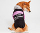 Jaqueta Corta Vento para Cachorro Blush - Preto e Rosa, Preto | WestwingNow