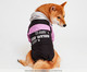 Jaqueta Corta Vento para Cachorro Blush - Preto e Rosa, Preto | WestwingNow