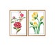 Jogo de Quadros com Vidro Florais, Multicolorido | WestwingNow