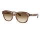 Óculos de Sol Ray-Ban Erik RB4398 140351 Tartaruga, brown | WestwingNow