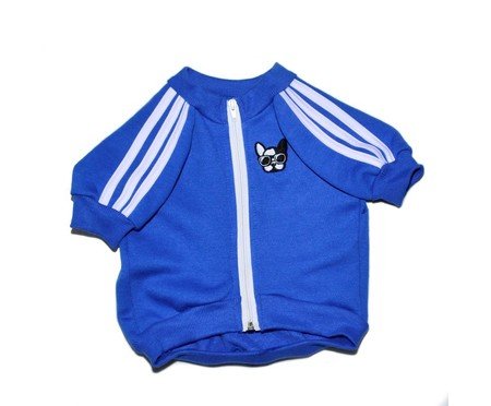 Moletom para Cachorro Sport - Azul | WestwingNow