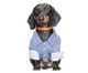 Camisa Social para Cachorros Suit - Azul, Azul | WestwingNow