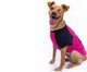 Camiseta para Cachorro Hollywood - Pink, Rosa | WestwingNow