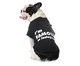 Camiseta para Cachorro Influencer - Preto, Preto | WestwingNow