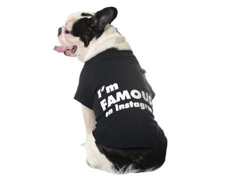 Camiseta para Cachorro Influencer - Preto | WestwingNow