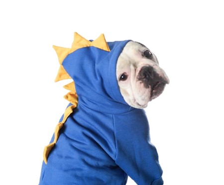Moletom para Cachorro T-Rex - Azul