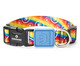 Coleira para Cachorro Rainbow - Colorido, Colorido | WestwingNow