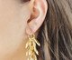 Brinco Cacho Dourado Banhado à Ouro 18K, multicolor | WestwingNow