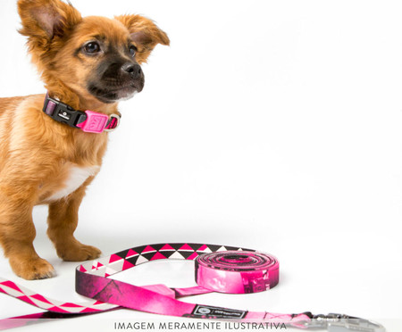 Coleira para Cachorro Skate - Pink | WestwingNow