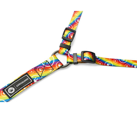 Guia para Cachorro Dupla Rainbow - Colorido | WestwingNow