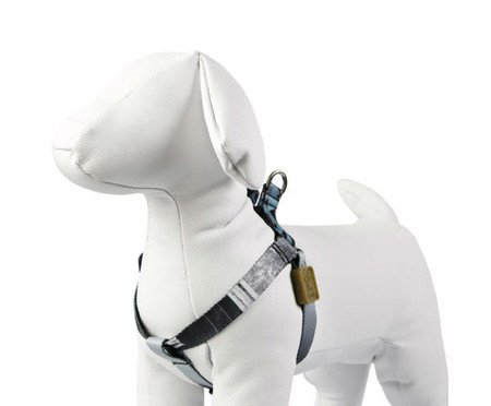 Peitoral para Cachorro Skate - Turquesa | WestwingNow