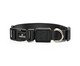 Coleira para Cachorro Midnight - Preto, Preto | WestwingNow