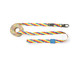 Guia para Cachorro Longa Rainbow - Colorido, Colorido | WestwingNow