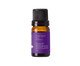Óleo Essencial Sono Tranquilo Moncloa - 10ml, multicolor | WestwingNow