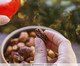 Mix Agridoce Pacote, Indefinido | WestwingNow