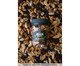 Mix Fruta Seca Pote, Indefinido | WestwingNow