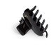 Piranha de Cabelo Maxi Noir Preto - 7,5X5cm, Preto | WestwingNow