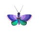 Decoração de Parede Borboleta Pequena Blue Cooper, multicolor | WestwingNow