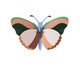 Decoração de Parede Borboleta Média Sycamore , multicolor | WestwingNow