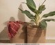 Cesto Redondo Seagrass, Bege | WestwingNow