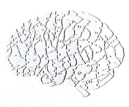 Quebra-Cabeça Transparente Cérebro - 102 Peças | WestwingNow