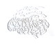Jogo de Quebra-Cabeça Transparente  Cérebro com Moldura Madeira, Transparente | WestwingNow