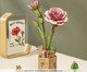 Miniatura Cravo Rosa, Colorido | WestwingNow