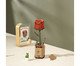 Miniatura Rosa Vermelha, Colorido | WestwingNow