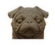 Miniatura Pug - Para Colorir, Colorido | WestwingNow