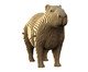 Miniatura Capivara, Colorido | WestwingNow