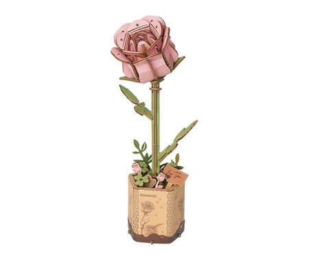 Miniatura Rosa Rosa | Westwing