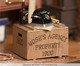 Miniatura Detetive, Colorido | WestwingNow