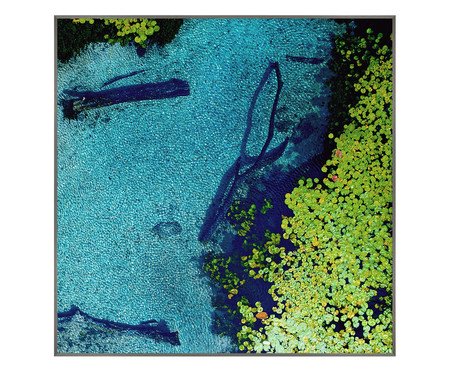 Quadro Águas e Vitória-Régia - Reinaldo Giarola | Westwing