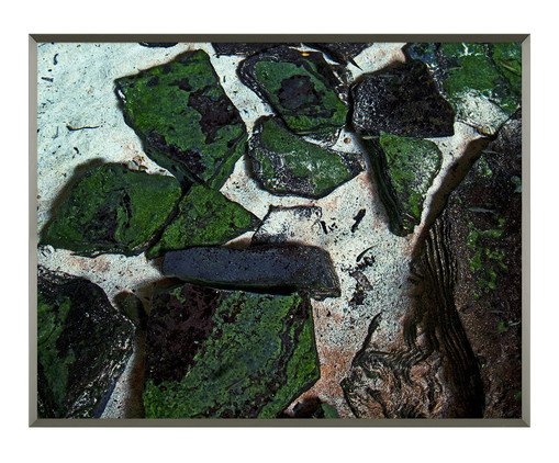 Quadro Nupeba - Reinaldo Giarola, multicolor | WestwingNow