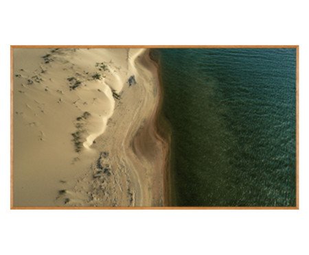 Quadro Tibiriça - Reinaldo Giarola | Westwing