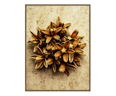 Quadro Anis - Reinaldo Giarola | Westwing