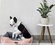 Cama London Rosê, pink | WestwingNow