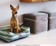 Cama Floresta, green | WestwingNow