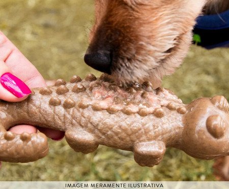 Mordedor Jaucaré para Cães com Aromatizante de Carne Germanhart | Westwing