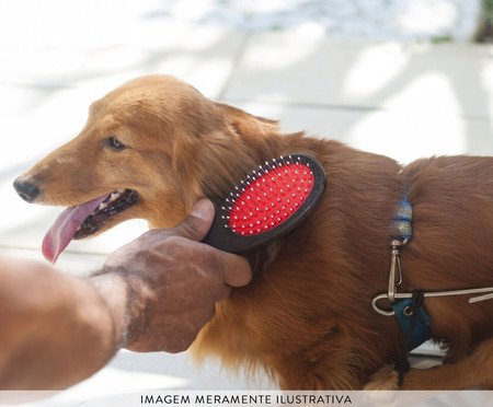 Escova Dupla para Animais Cabo em Madeira  Grande Germanhart | Westwing