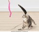 Brinquedo para Gato Featherlite Springy com Catnip, pink | WestwingNow