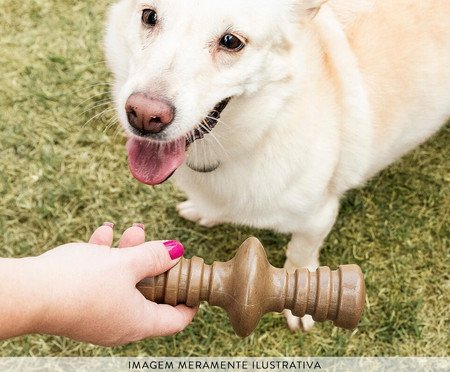 Mordedor RevoluCÃO para Cães com Aromatizante de Churrasco Germanhart | Westwing