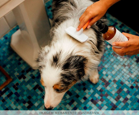 Shampoo a Seco Vegano para Cachorro - 200ml | WestwingNow